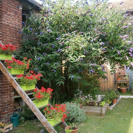 Miraumont Aux Sources De L'Ancre Bed & Breakfast エクステリア 写真